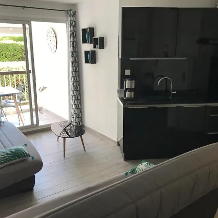 Moderne Avec Loggia, Proche Port Et Plage, Cap D'agde - Fr-1-723-63 Agde