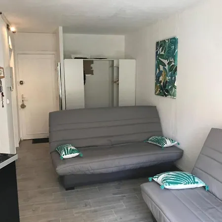 Moderne Avec Loggia, Proche Port Et Plage, Cap D'agde - Fr-1-723-63 Agde